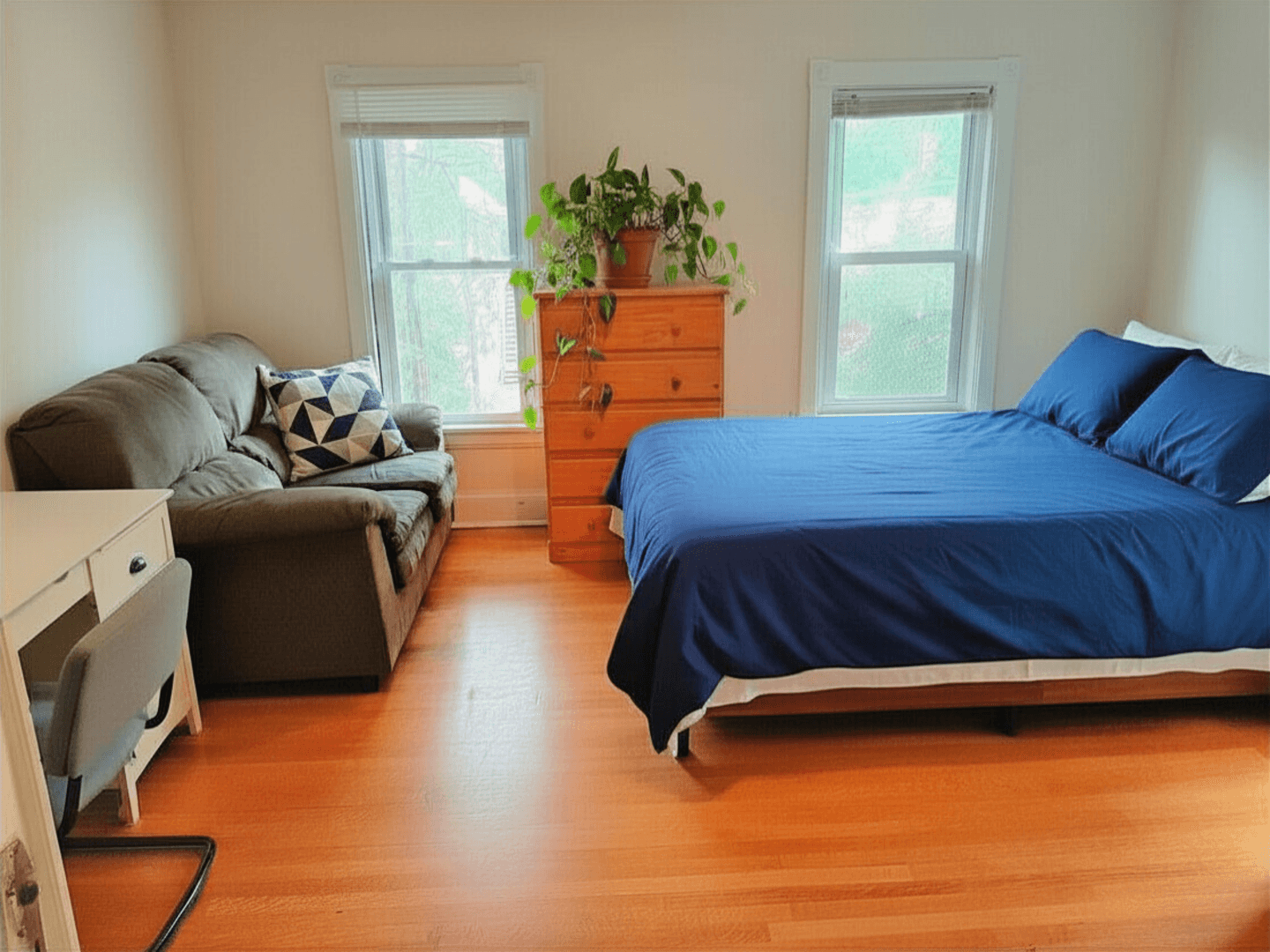 Ithaca Apartment: 123 Columbia Street