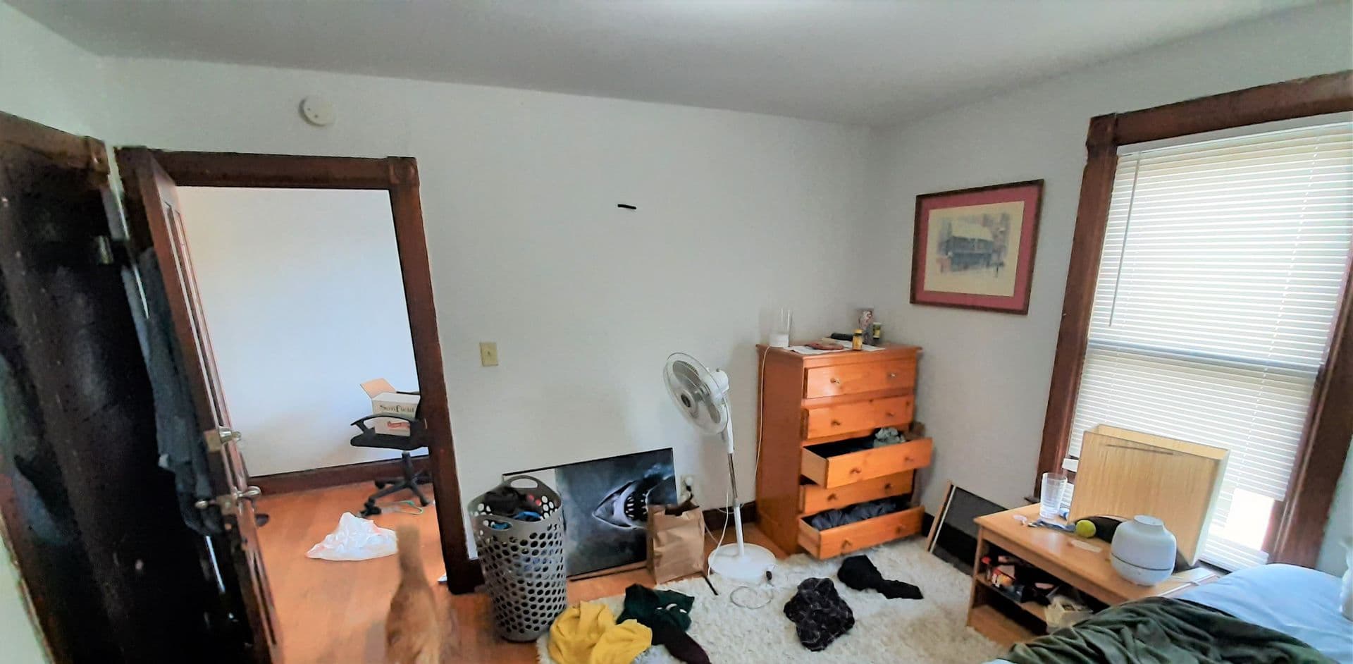 Ithaca Apartment: 119-121 Prospect St