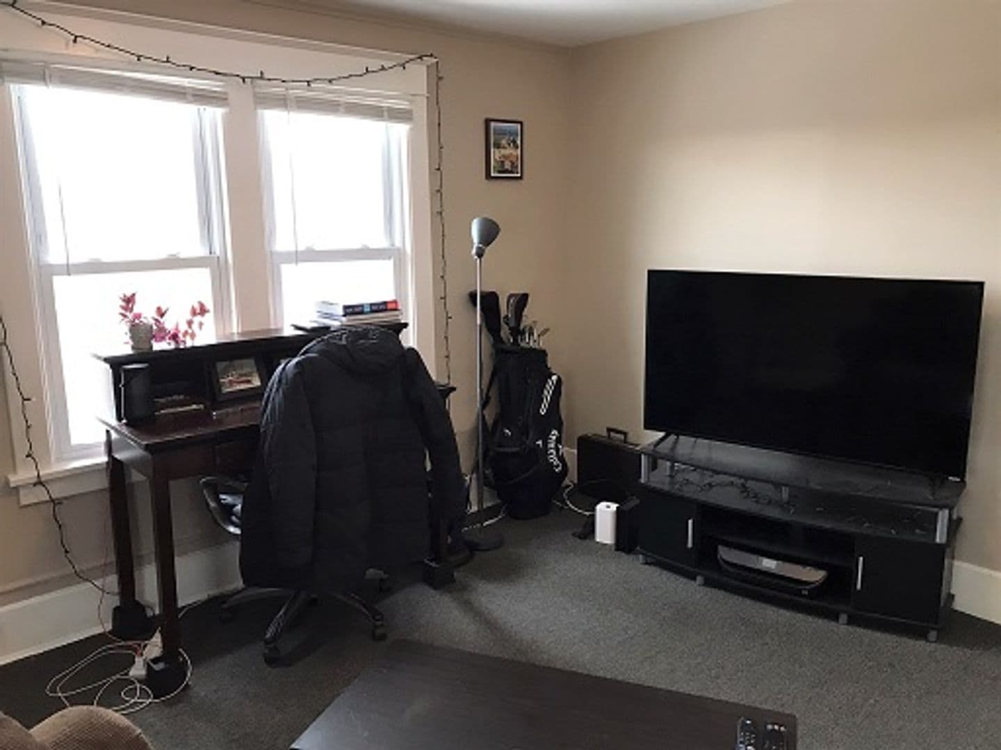 Ithaca Apartment: 308 Fairmount Ave