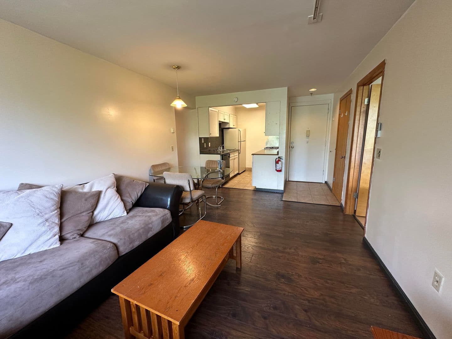 Ithaca Apartment: 211 Linden Avenue