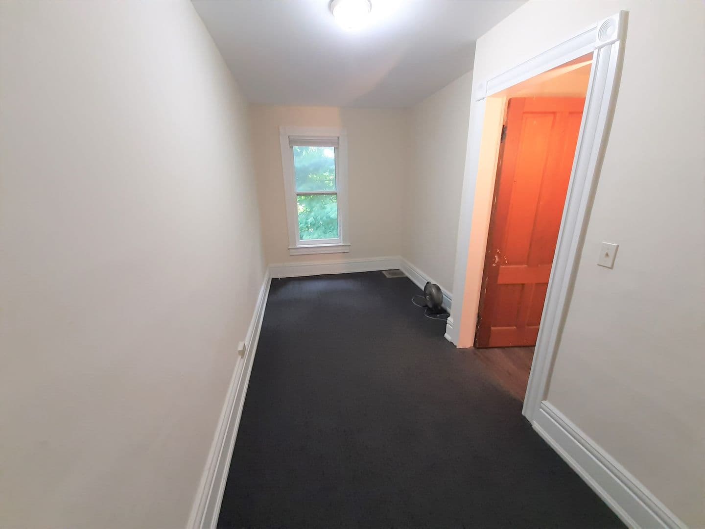 Ithaca Apartment: 107-109 Hudson St