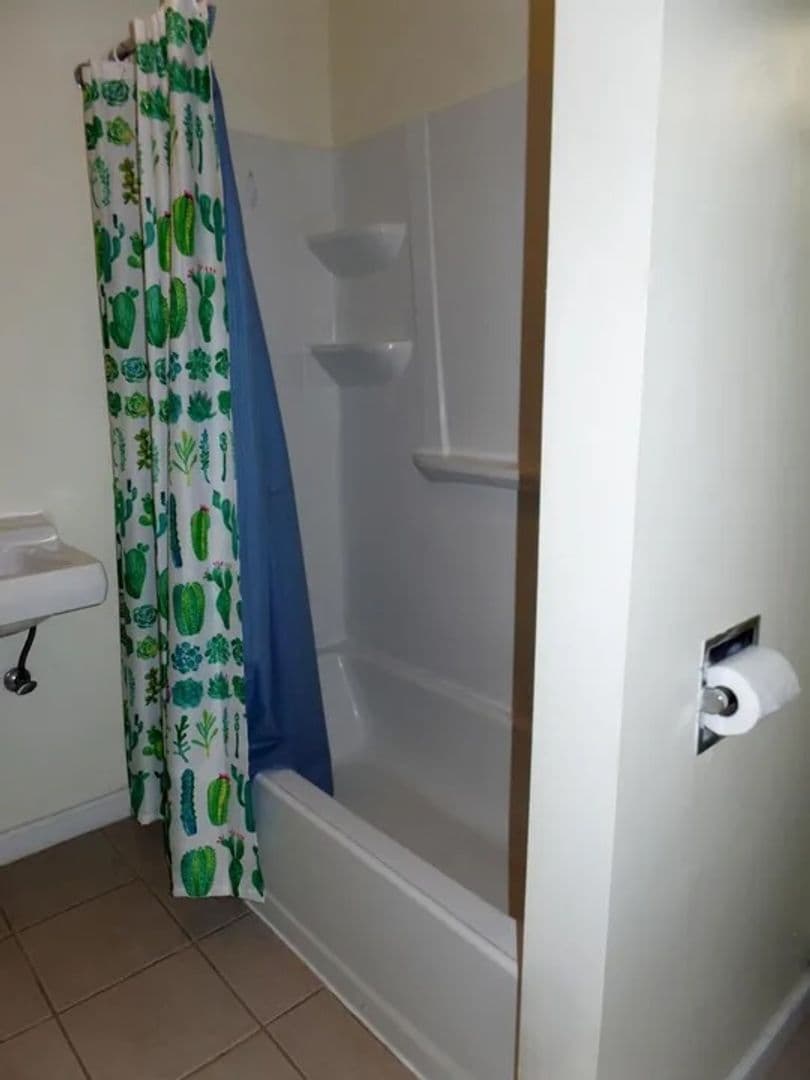 Ithaca Apartment: 408 E Lincoln Street