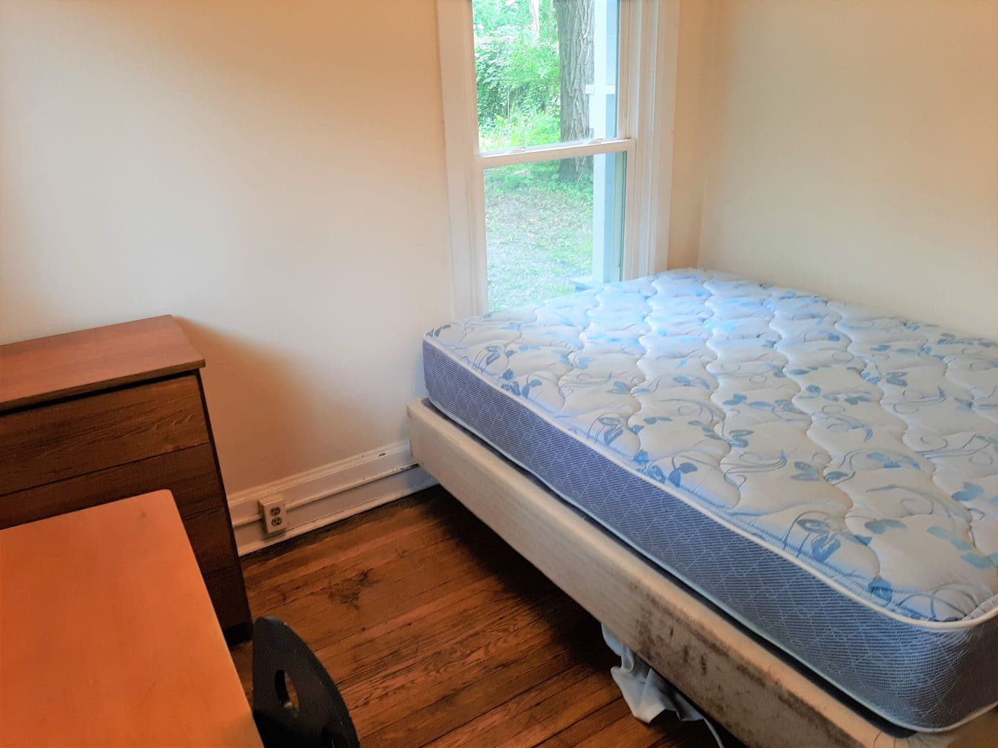 Ithaca Apartment: 123 Columbia Street