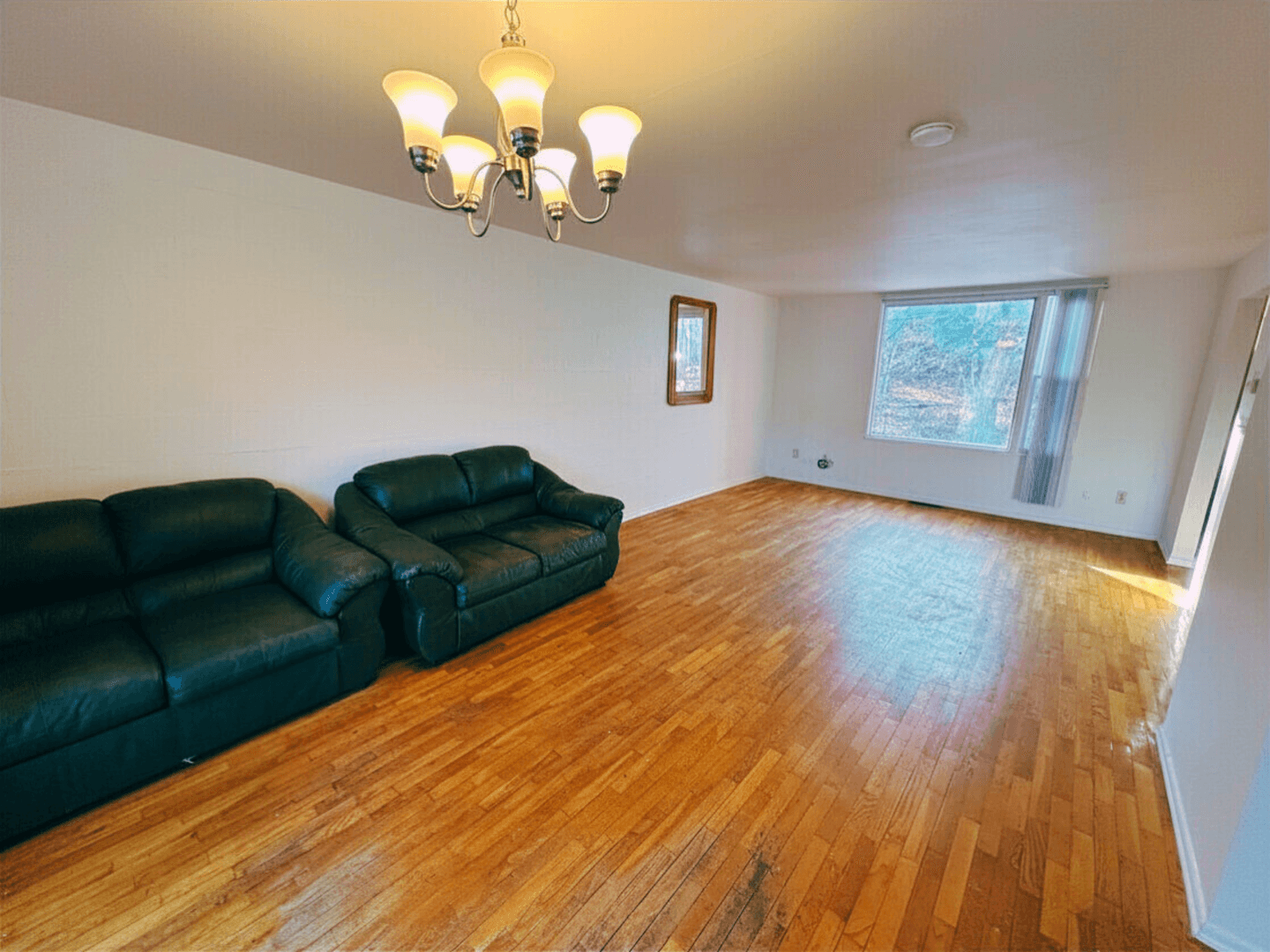 Ithaca Apartment: 115 James Street