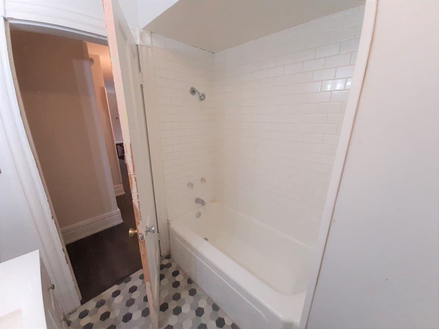 Ithaca Apartment: 107-109 Hudson St