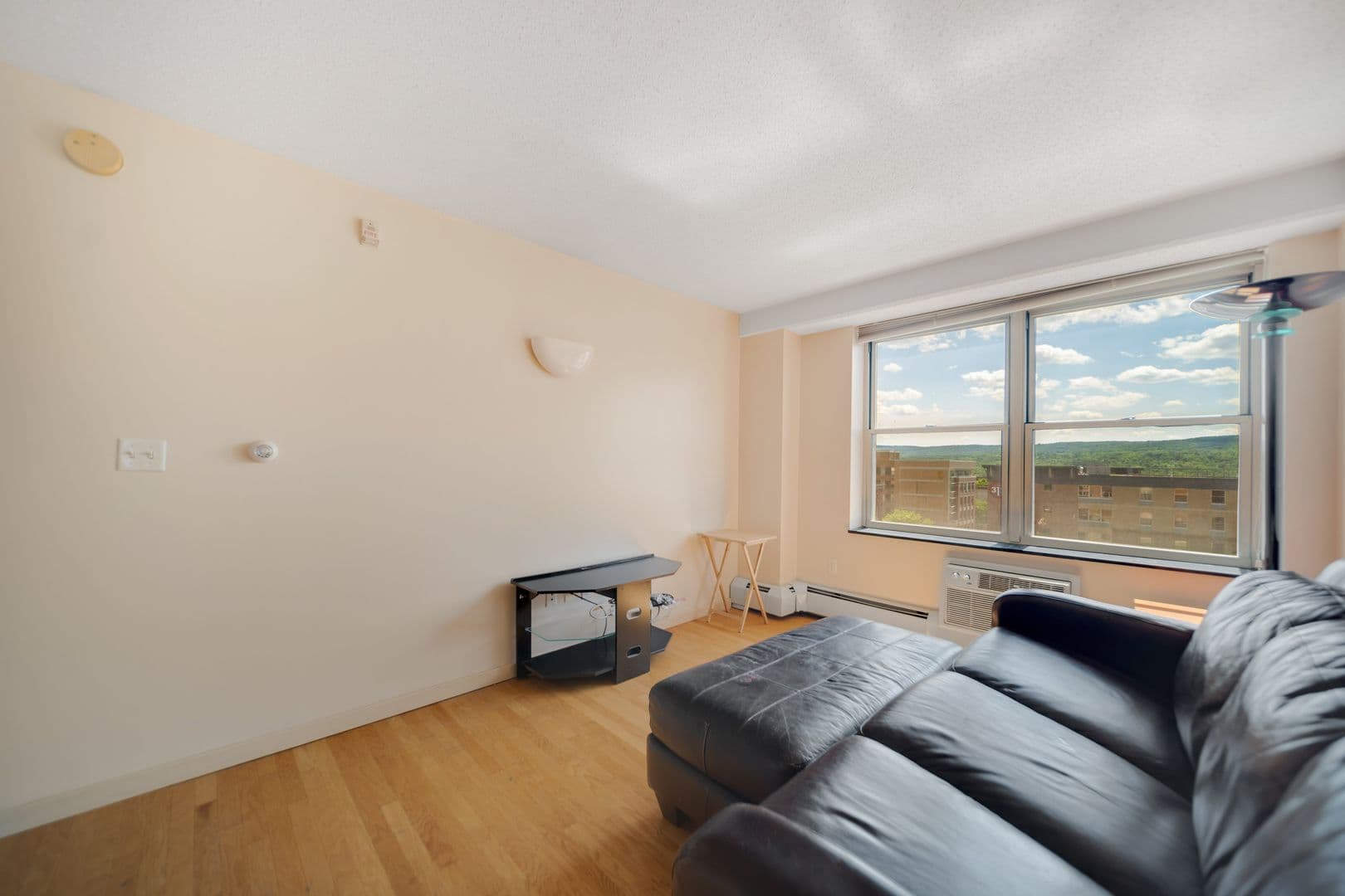 Ithaca Apartment: 400 College Avenue