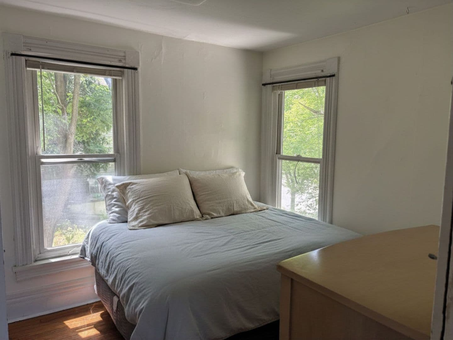 Ithaca Apartment: 403 S Cayuga Street