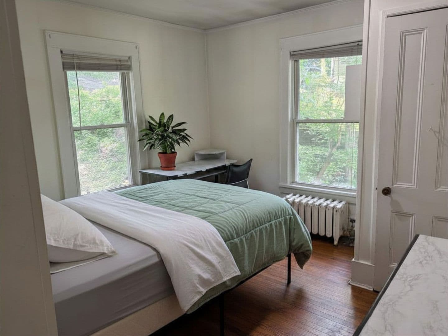 Ithaca Apartment: 403 S Cayuga Street