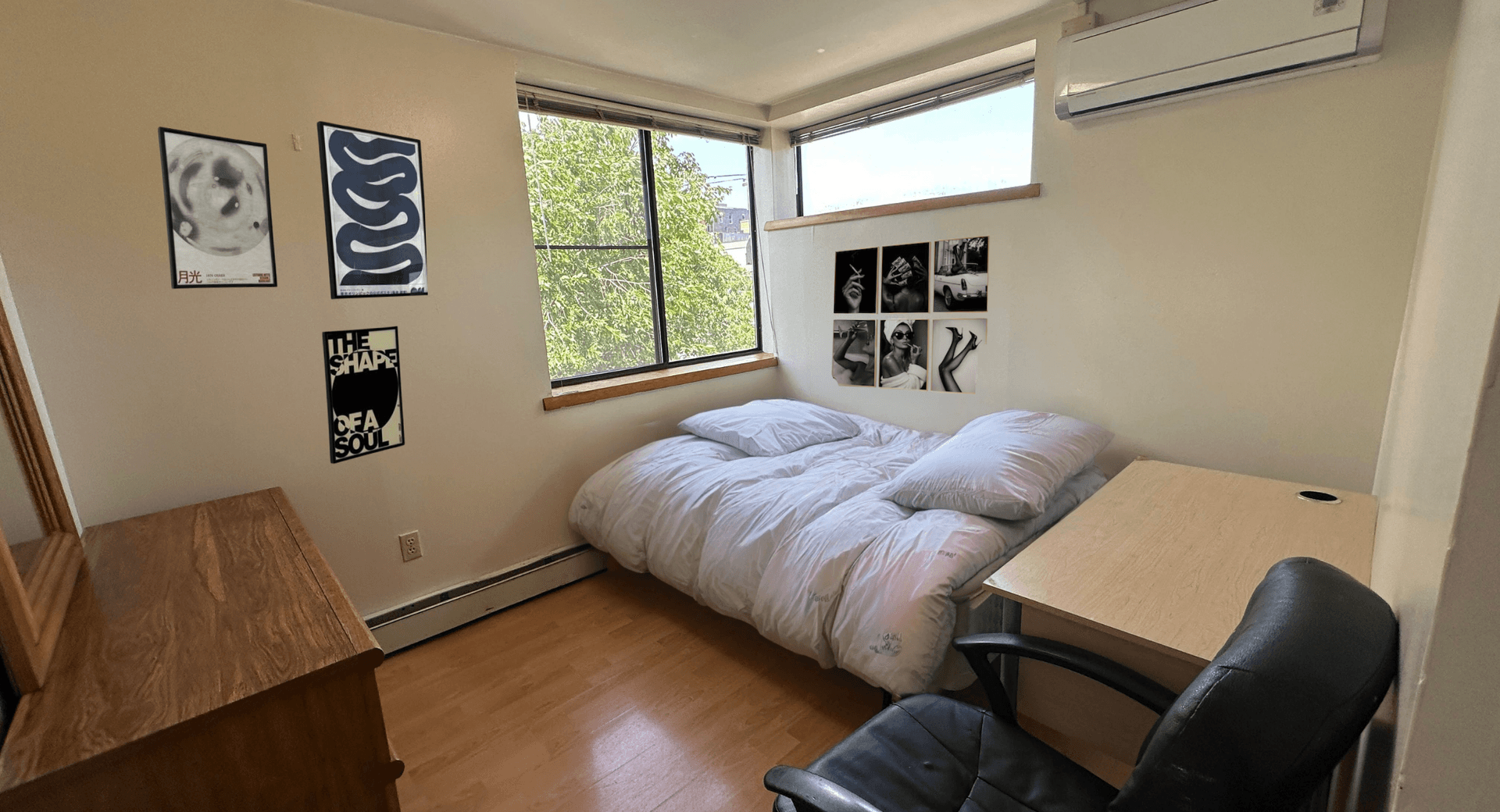 Ithaca Apartment: 211 Linden Avenue