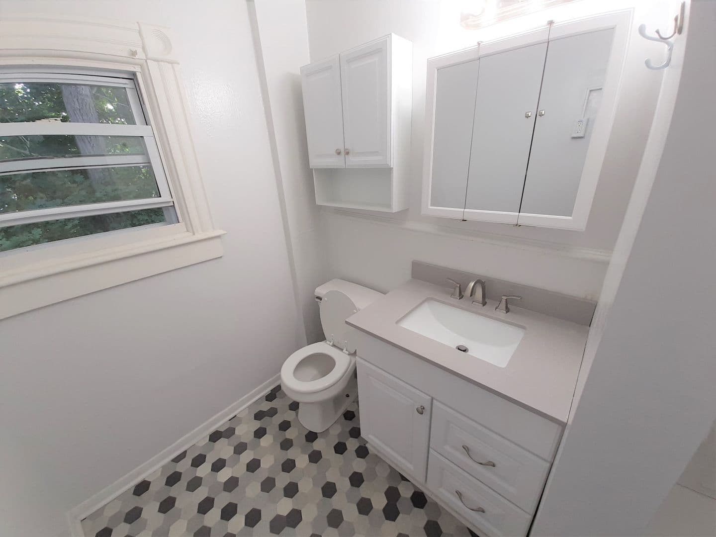 Ithaca Apartment: 107-109 Hudson St