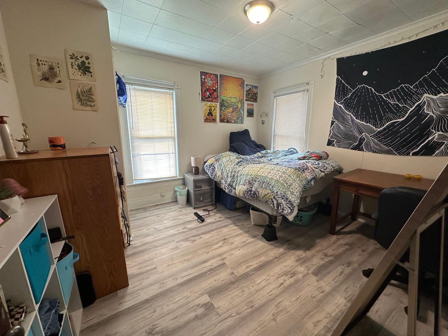 Ithaca Apartment: 108 - 110 Hudson St