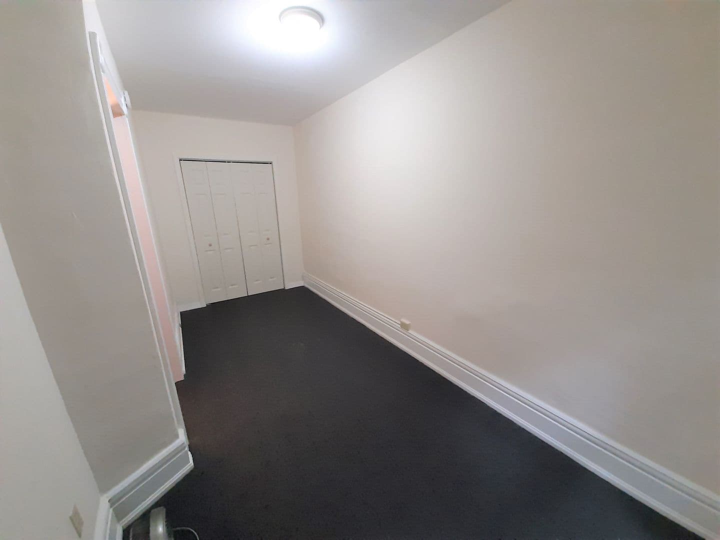 Ithaca Apartment: 107-109 Hudson St