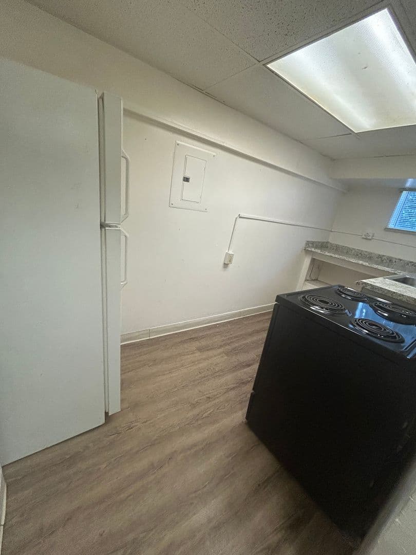 Auburn Apartment: 205 Cherry Ave.