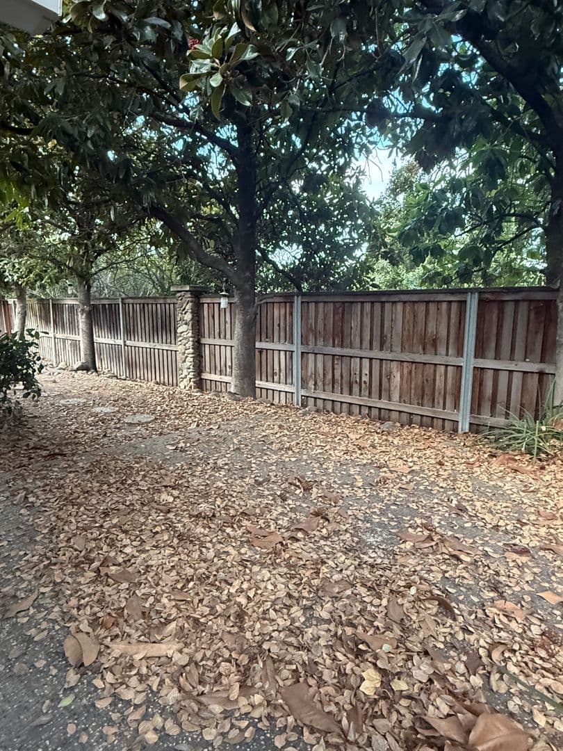 Rocklin House: 5744 Terrace Dr