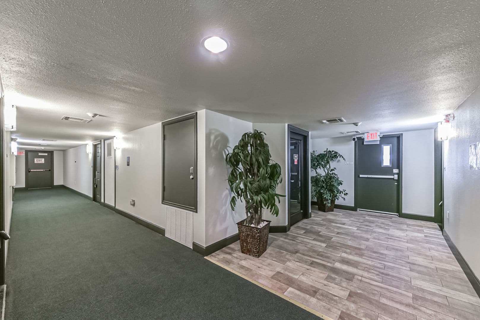 Houston Apartment: 1025 Swanson St.