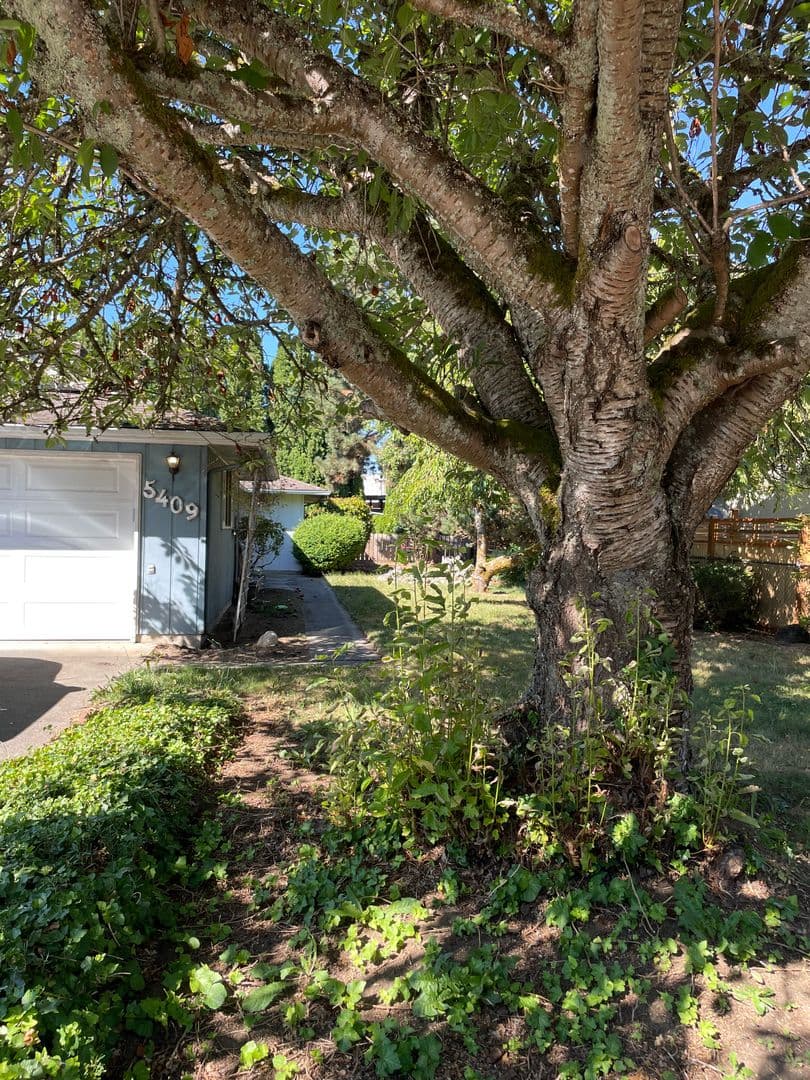Marysville House: 5409 80th St NE