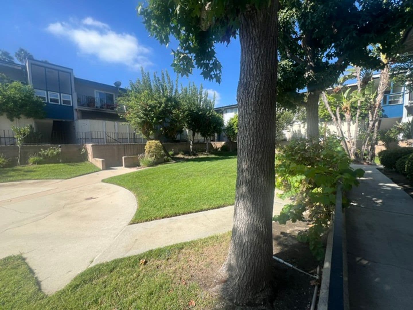 North Hollywood Condo: 6301 Coldwater Canyon Blvd. Unit 22