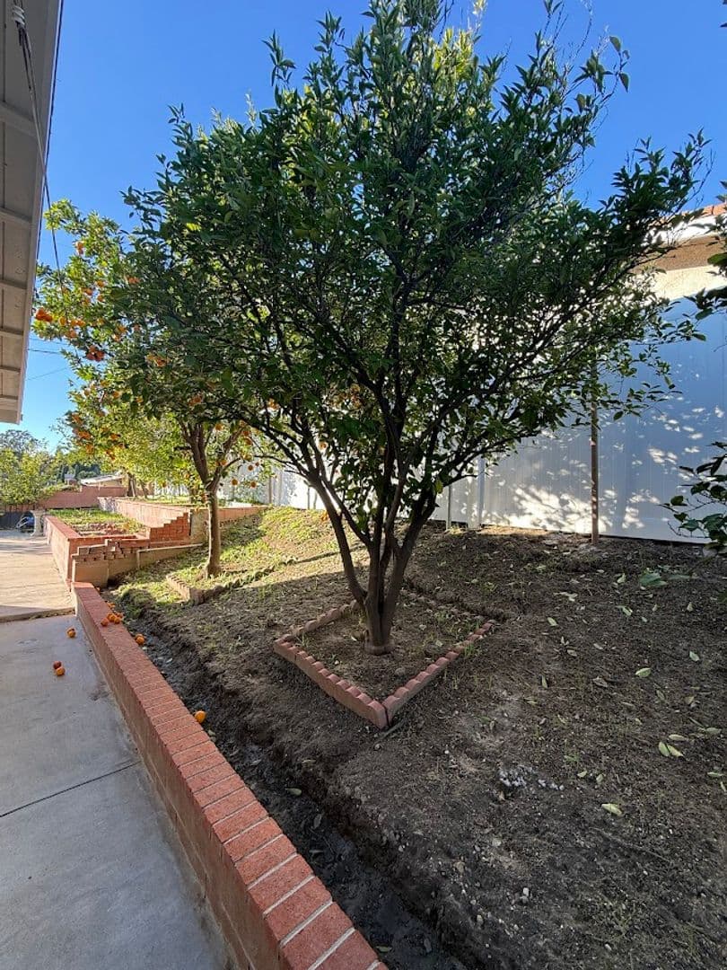 Granada Hills House: 11725 Monogram Avenue