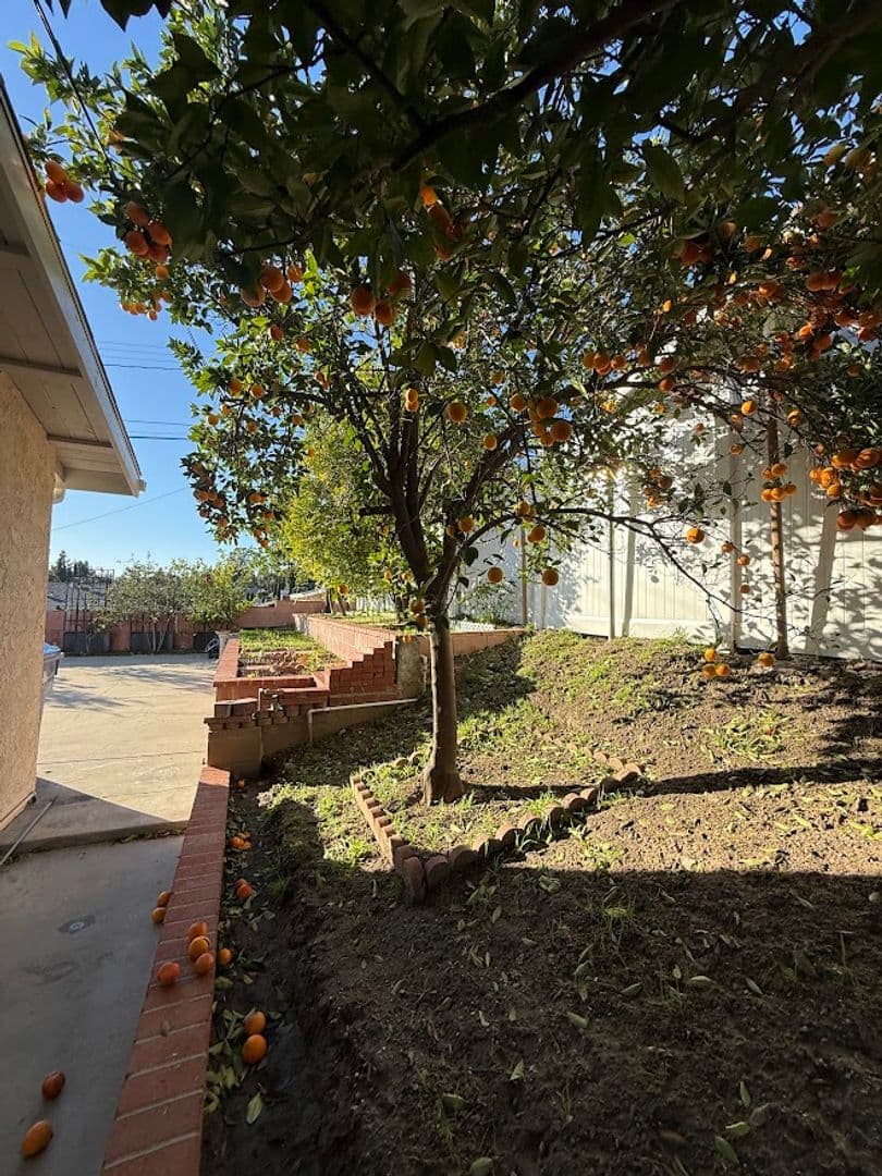 Granada Hills House: 11725 Monogram Avenue