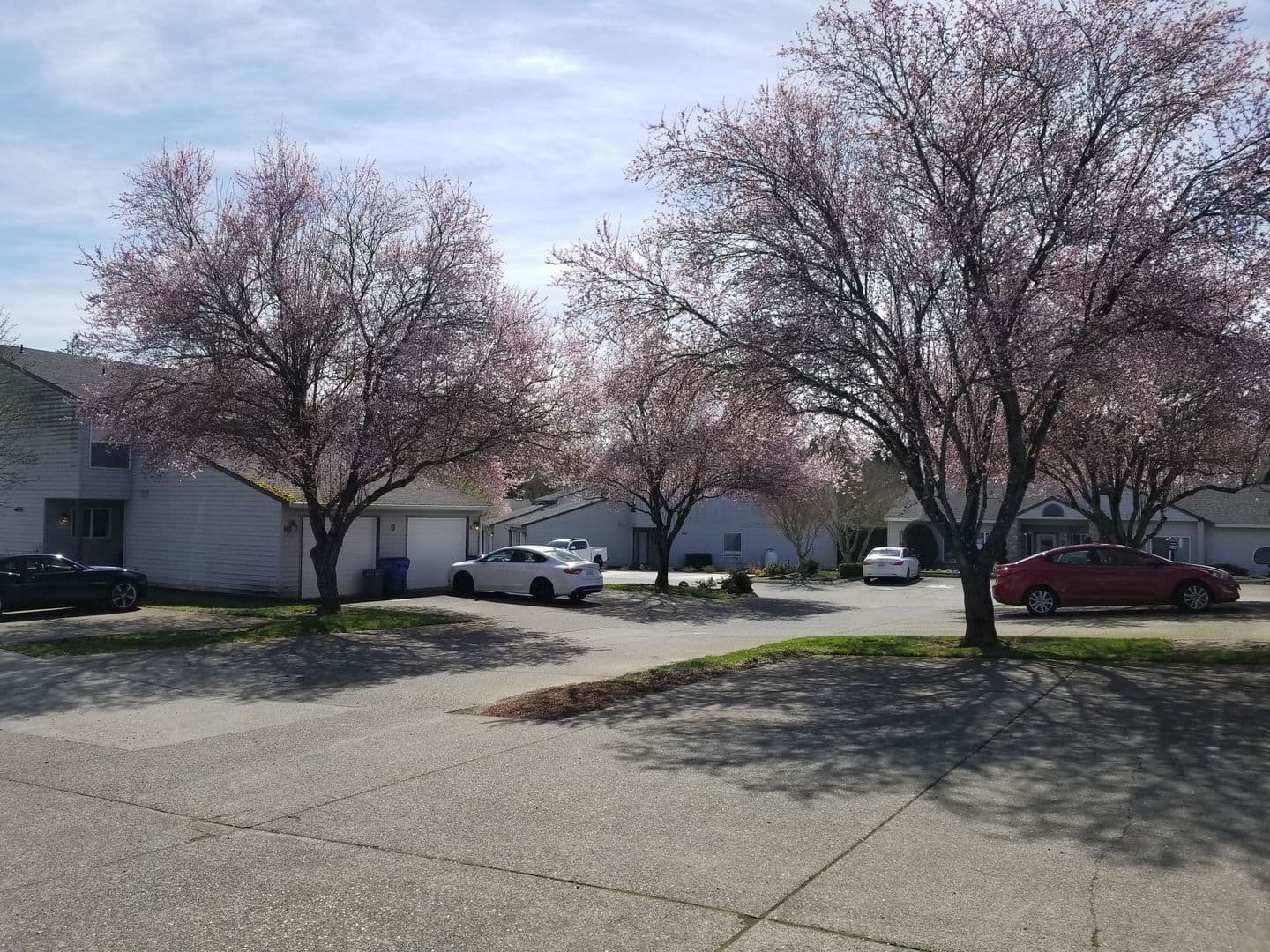 Ridgefield Apartment: 2019 NE 179th St