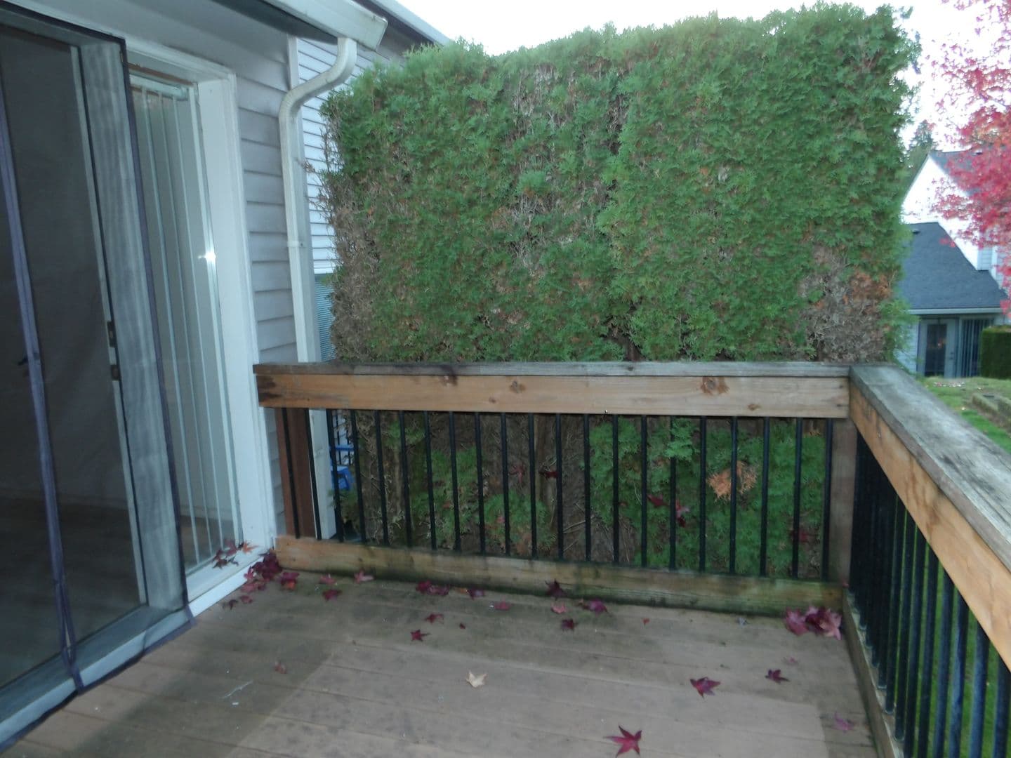 Ridgefield Apartment: 2019 NE 179th St