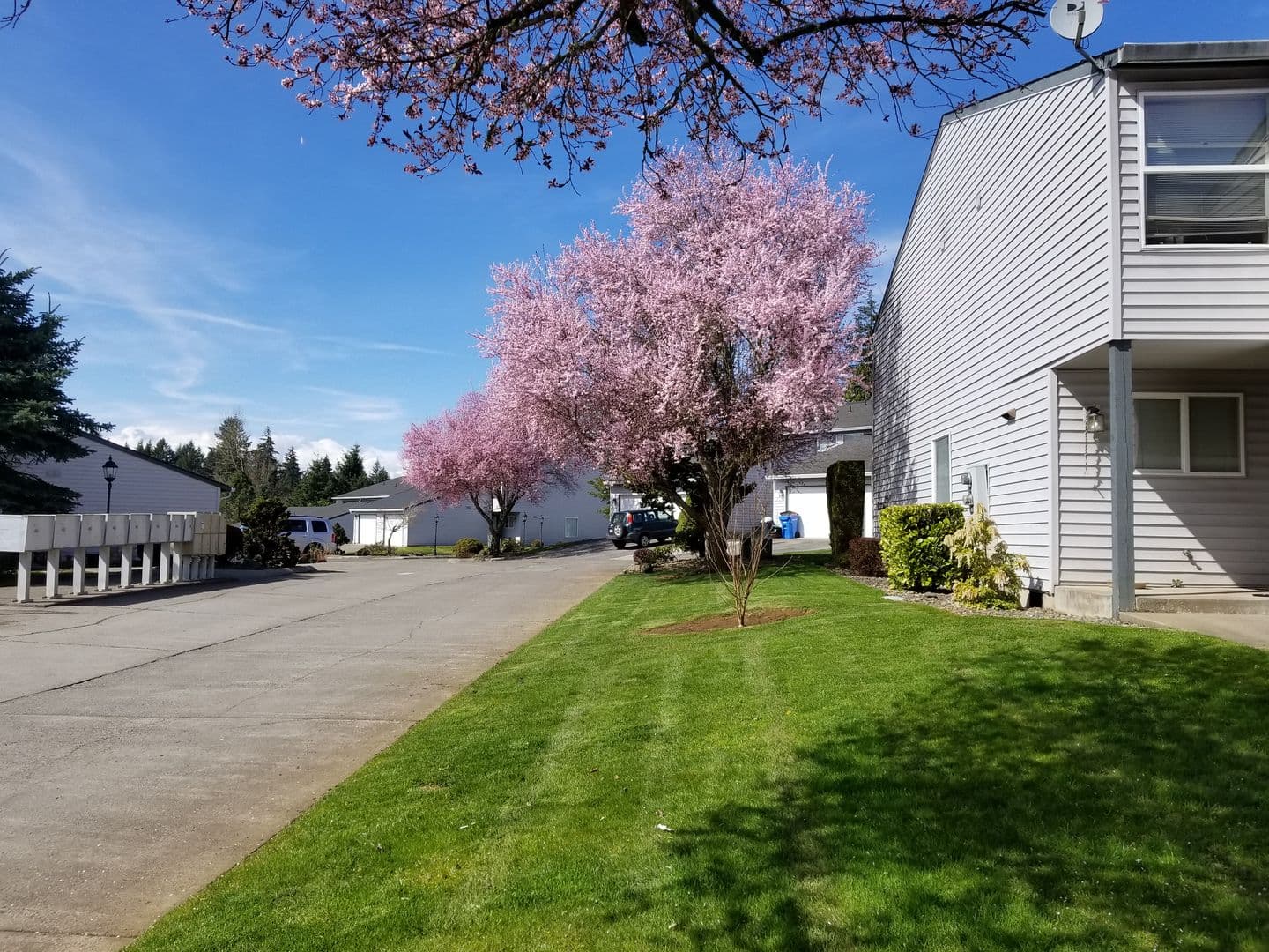 Ridgefield Apartment: 2019 NE 179th St