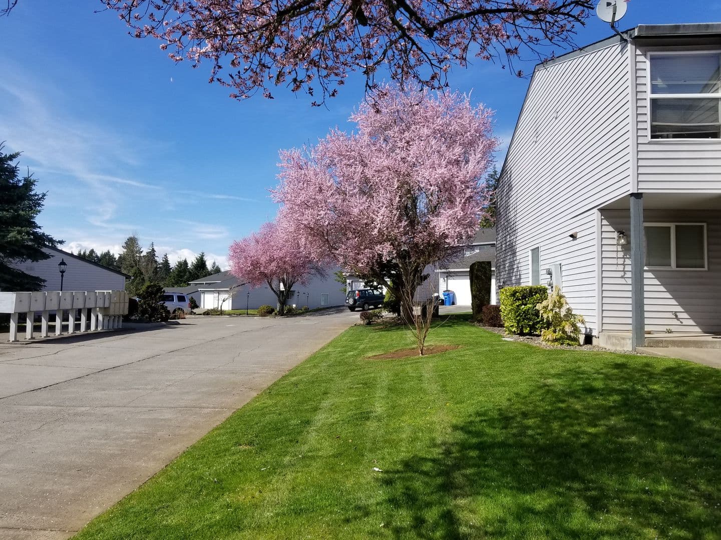 Ridgefield Apartment: 2019 NE 179th St