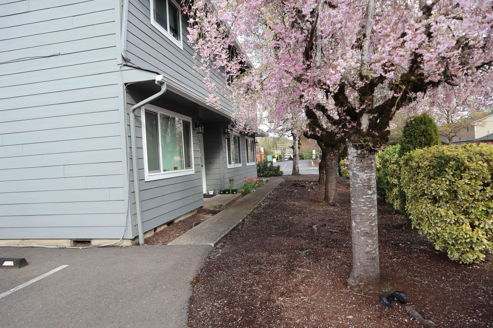 Battle Ground Apartment: 308 SW 1st ST.