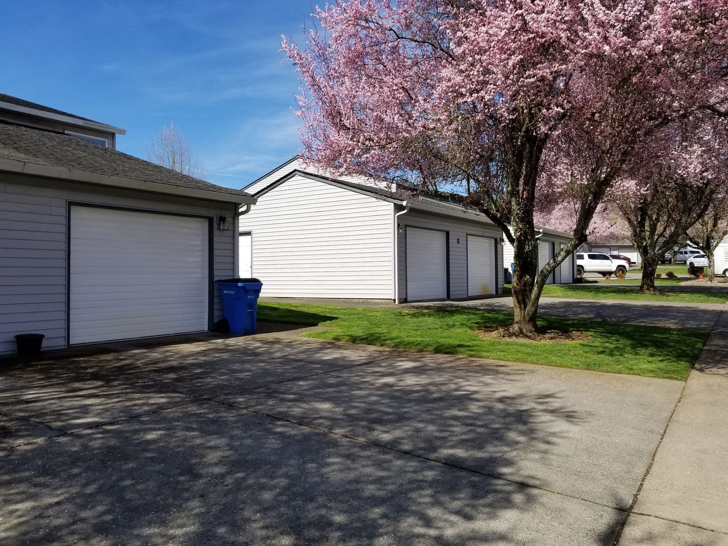 Ridgefield Apartment: 2019 NE 179th St