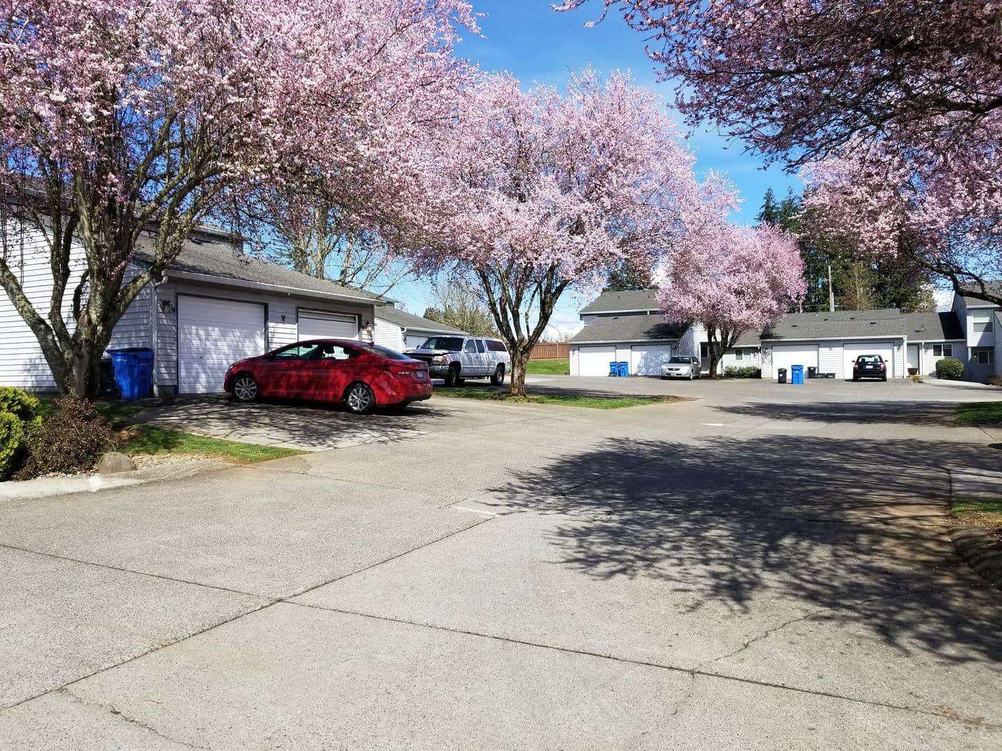 Ridgefield Apartment: 2019 NE 179th St