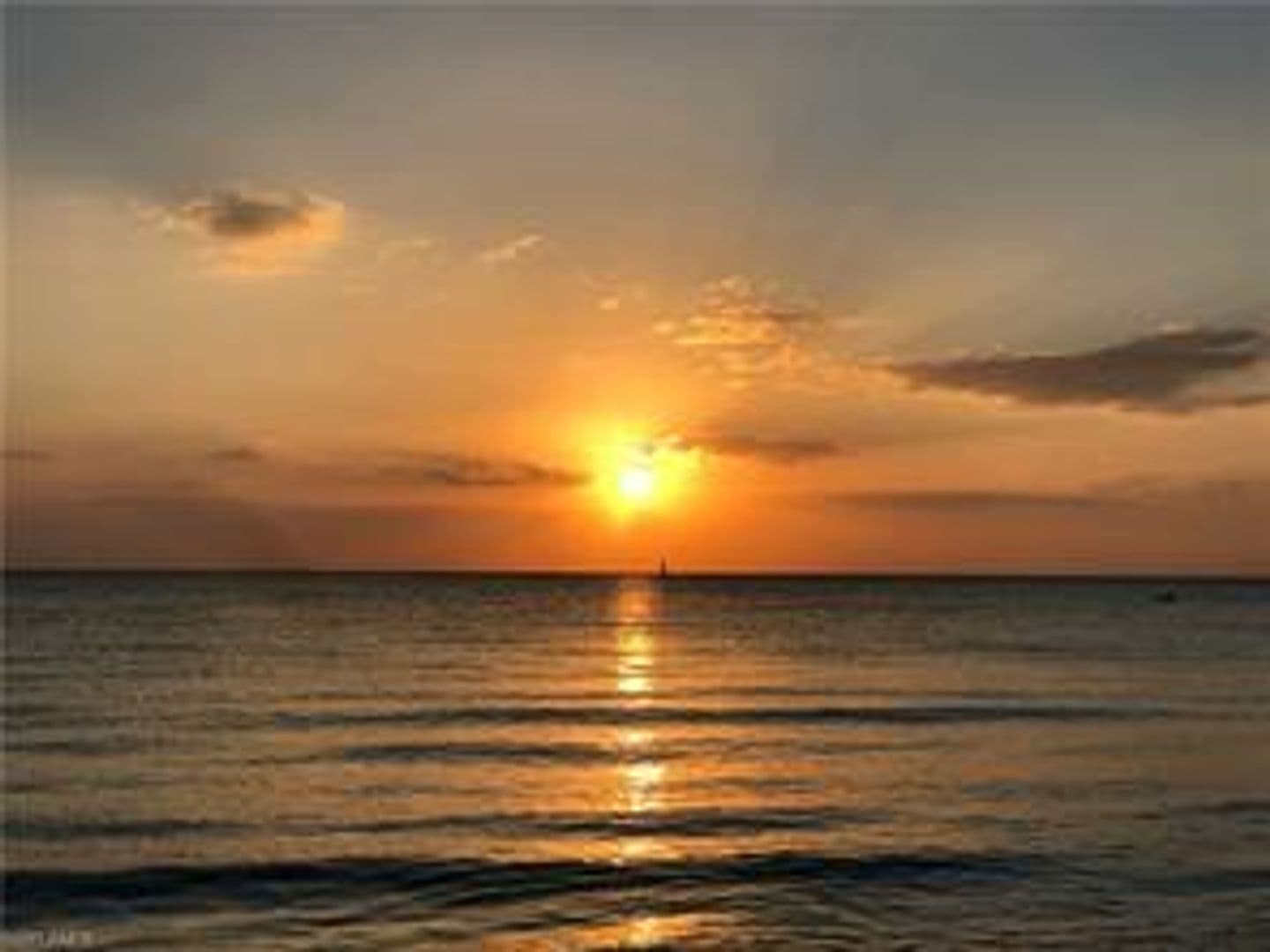 Bonita Springs Condo: 25900 Hickory Boulevard Apartment 804