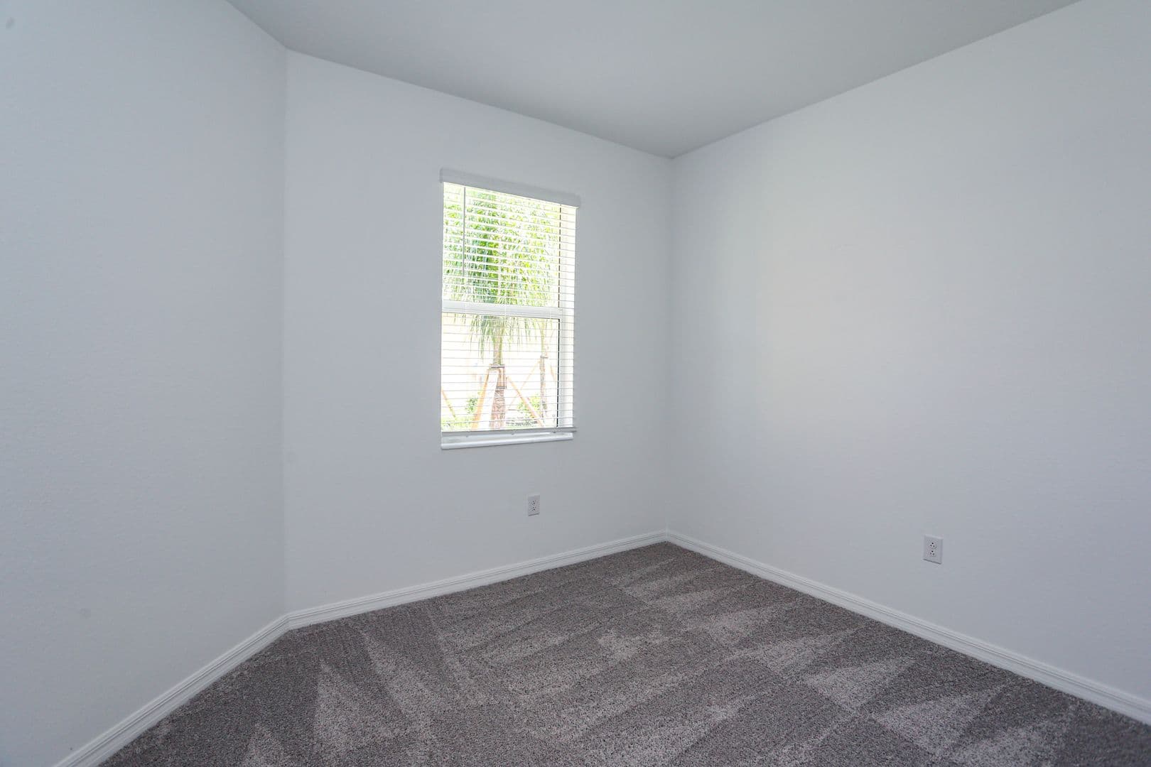 Naples House: 2599 Vine Avenue