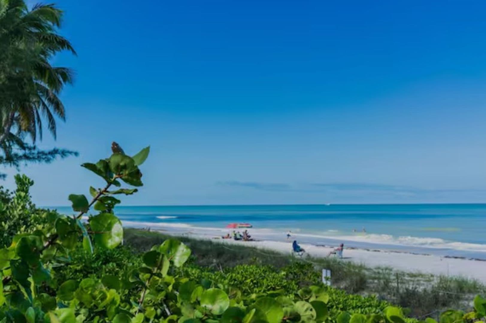 Naples House: 647 110th Avenue North