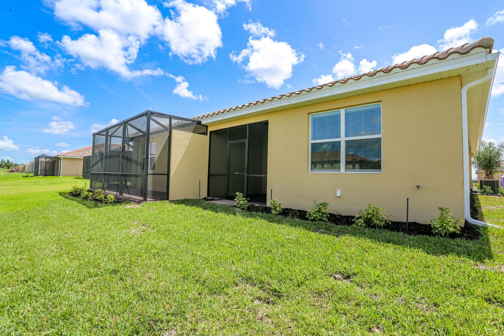 Naples House: 2599 Vine Avenue