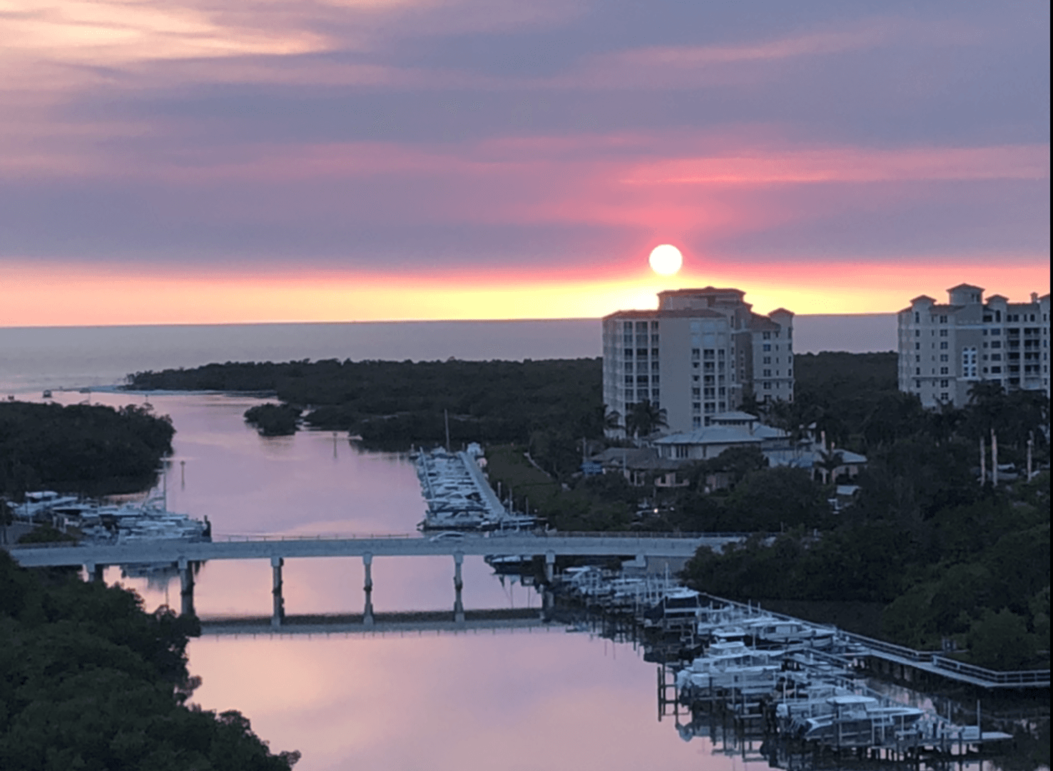 Naples House: 430 Cove Tower Drive Unit 1202