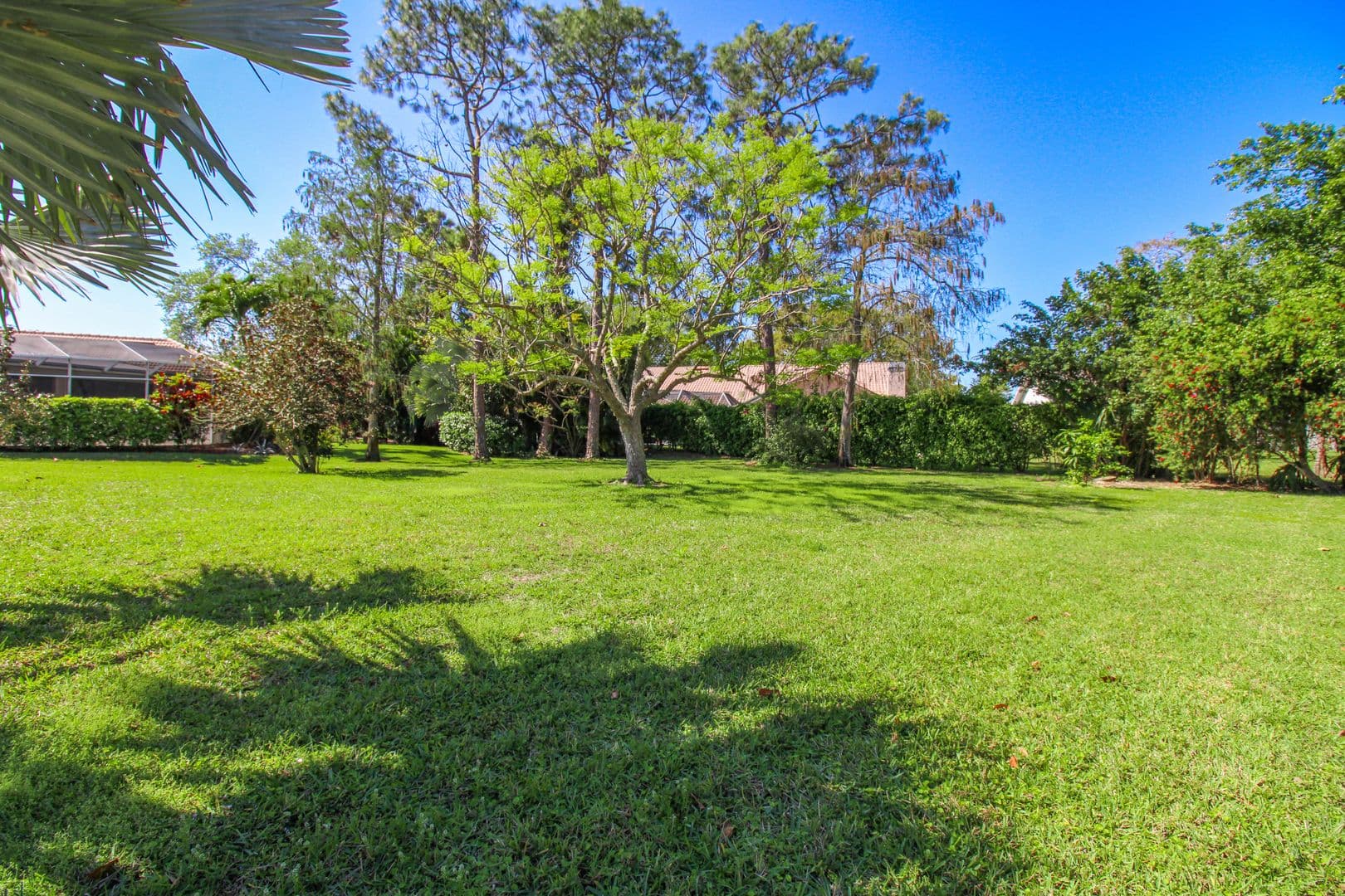 Naples House: 333 Wentworth Court
