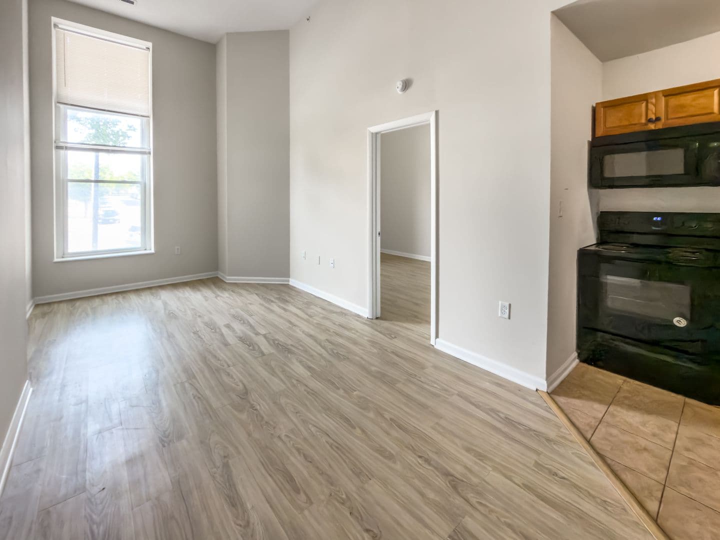 Baltimore Apartment: 317 E. North Avenue