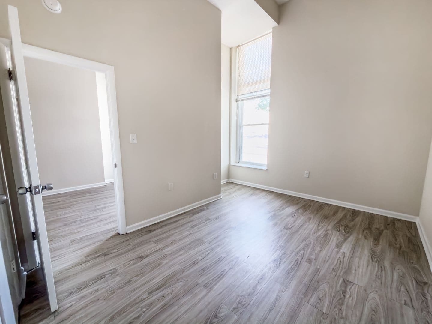 Baltimore Apartment: 317 E. North Avenue