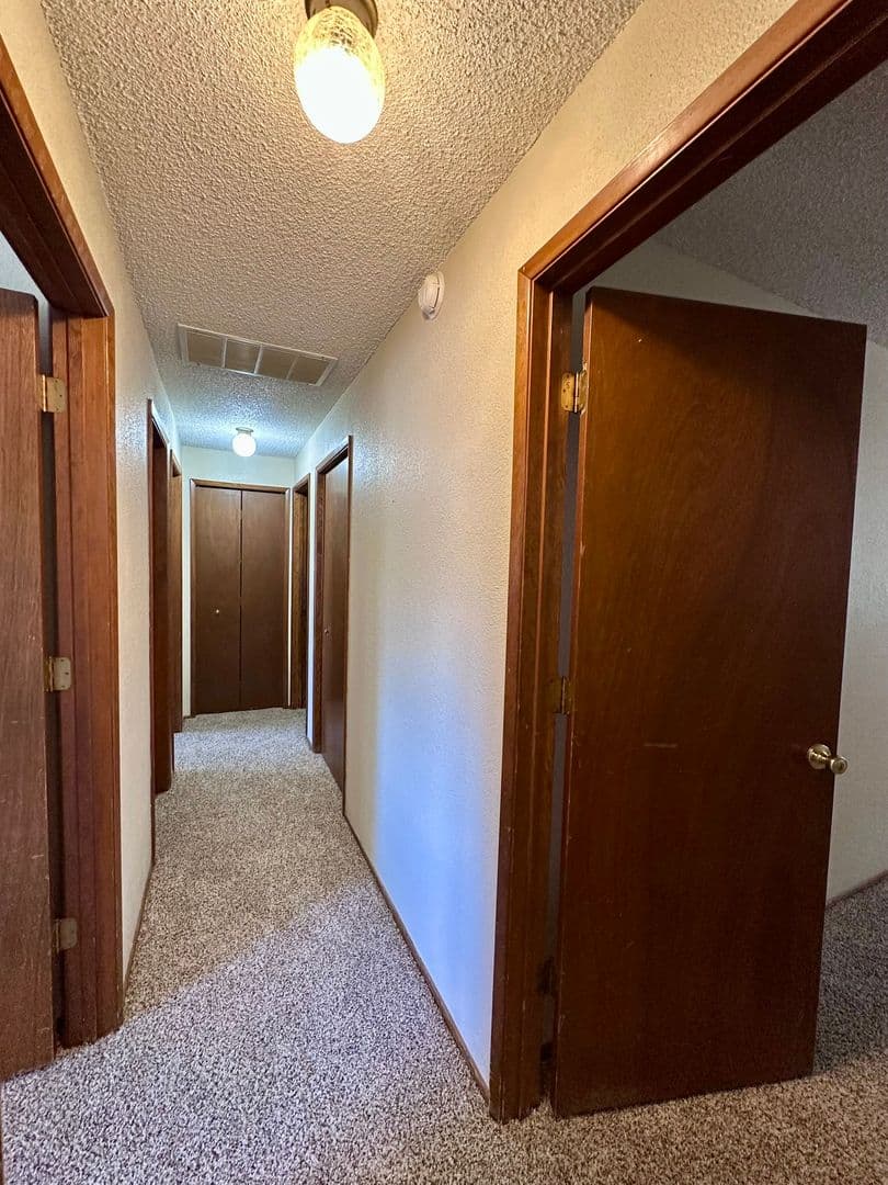 Springfield House: 970 S 55th Place