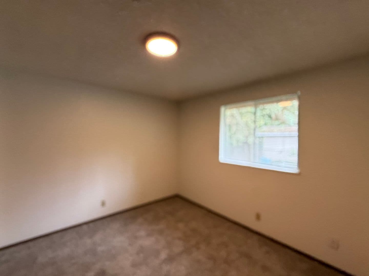 Veneta Apartment: 25116 Cheney Drive