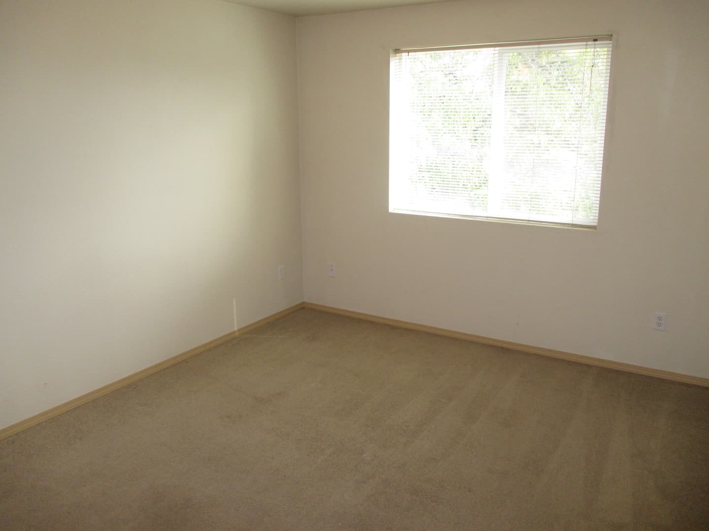 Salem Apartment: 247 Madrona Ave SE - 120