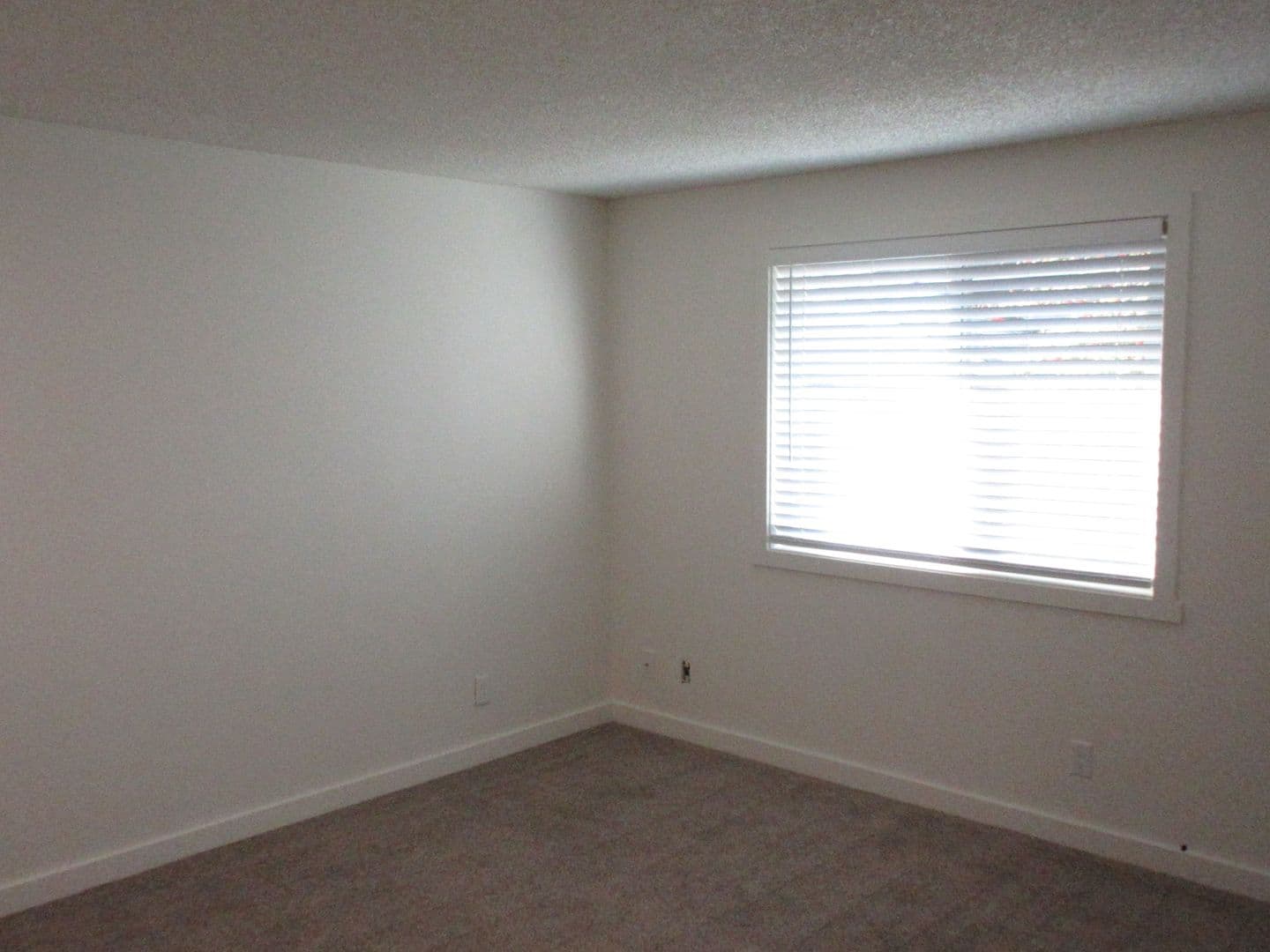 Salem Apartment: 1563 Commercial Street SE