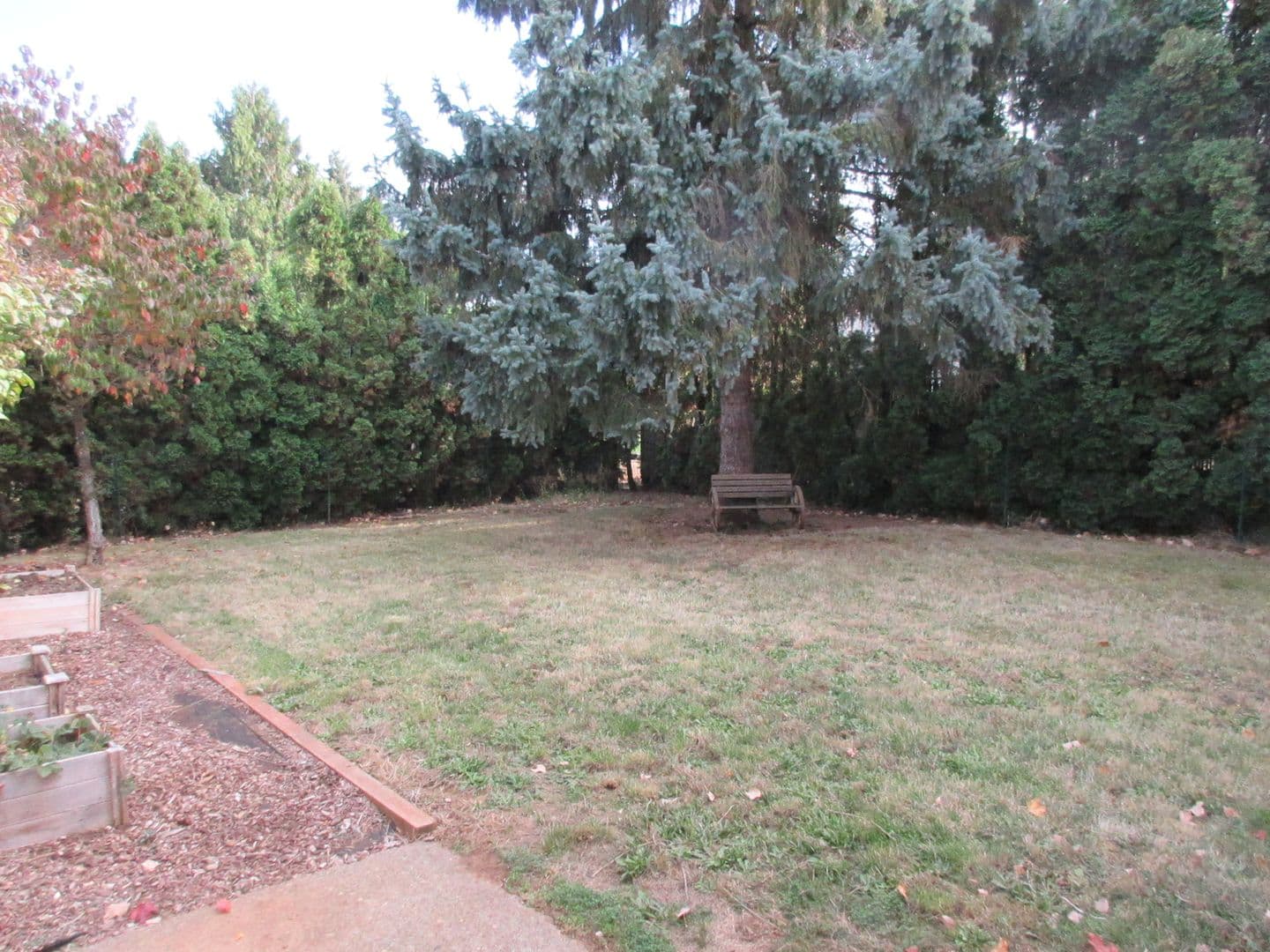 Salem House: 1340 Elser Dr SE
