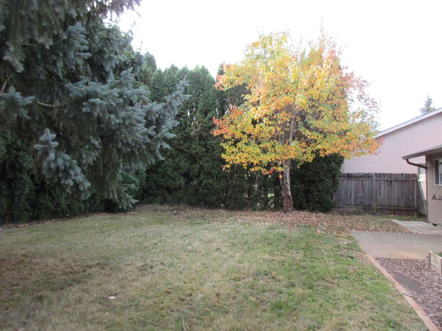 Salem House: 1340 Elser Dr SE