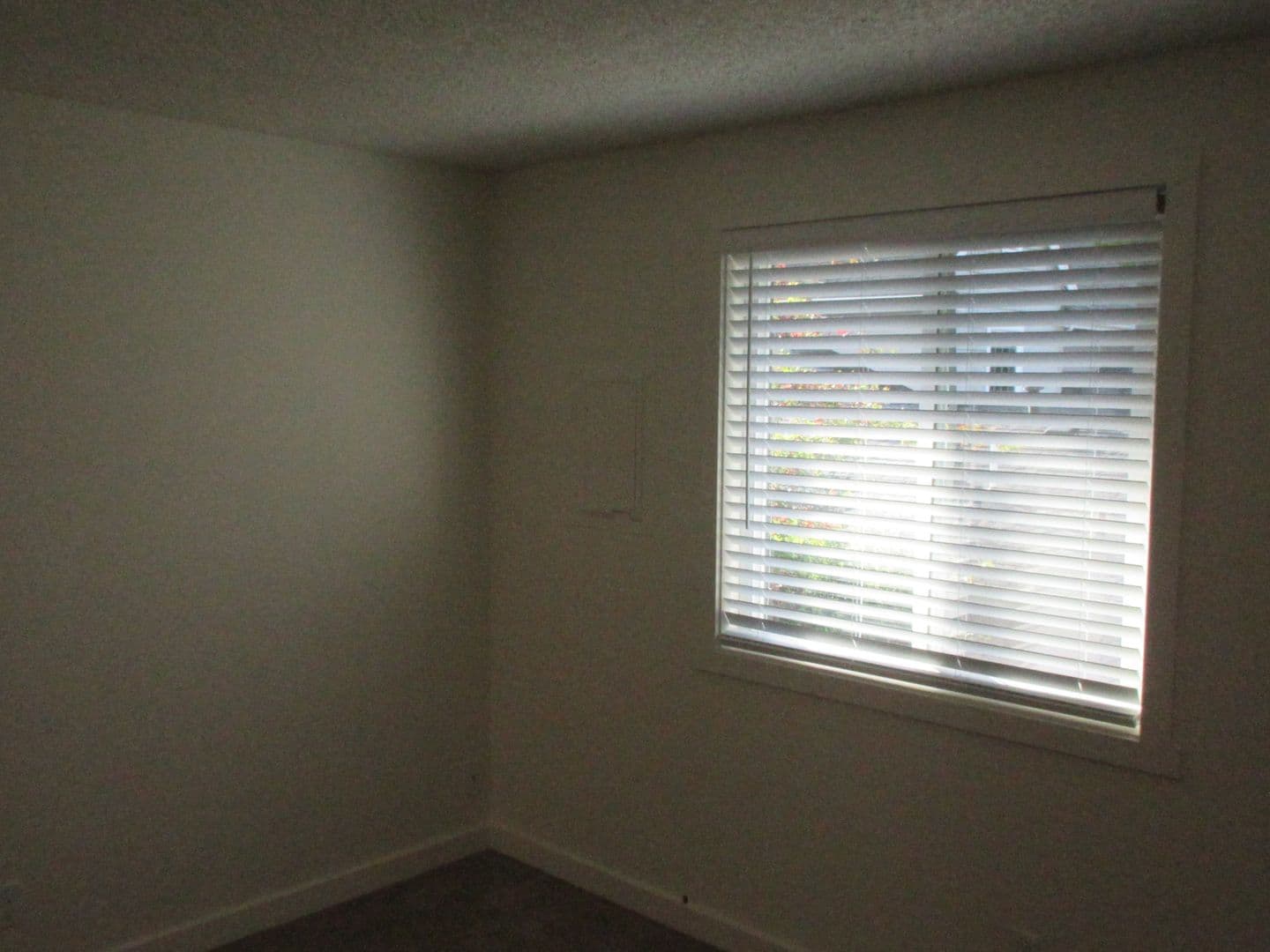 Salem Apartment: 1563 Commercial Street SE
