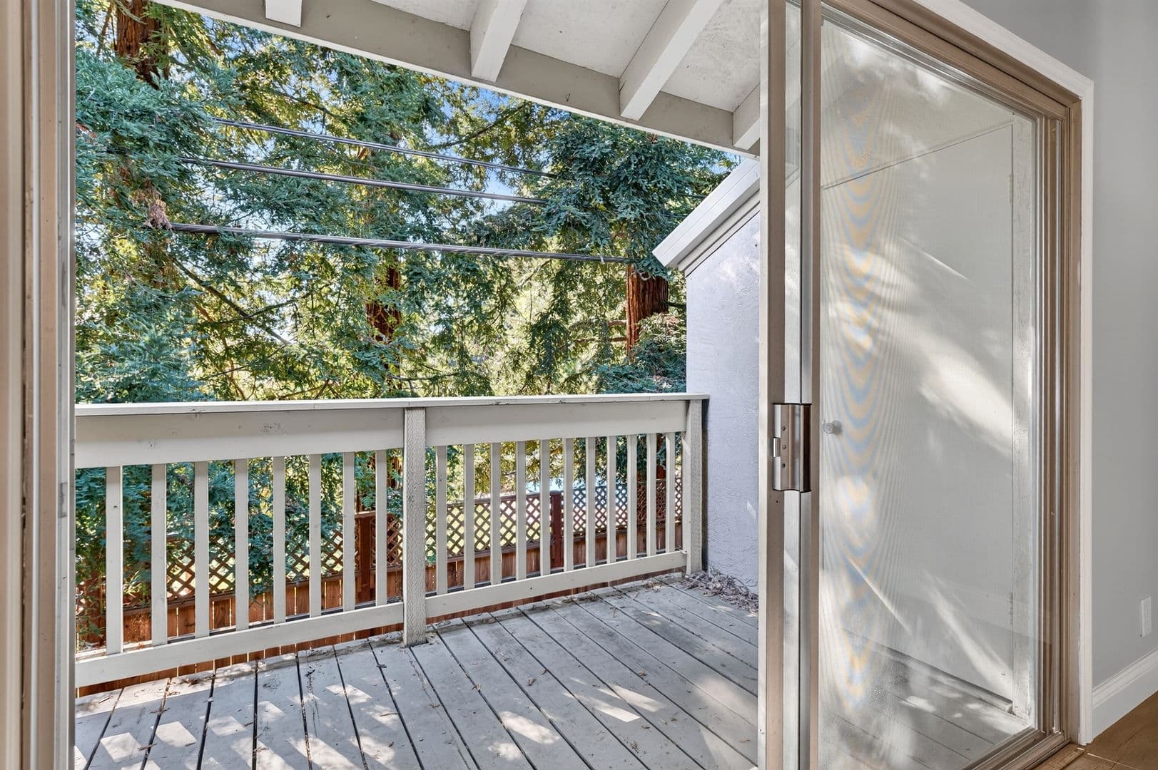 Walnut Creek Condo: 1241 Homestead Avenue #206