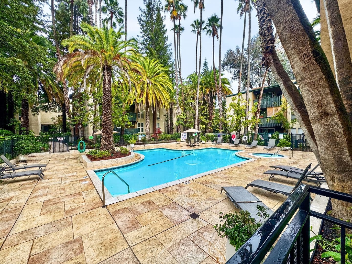 Walnut Creek Condo: 1236 Walker Avenue #305