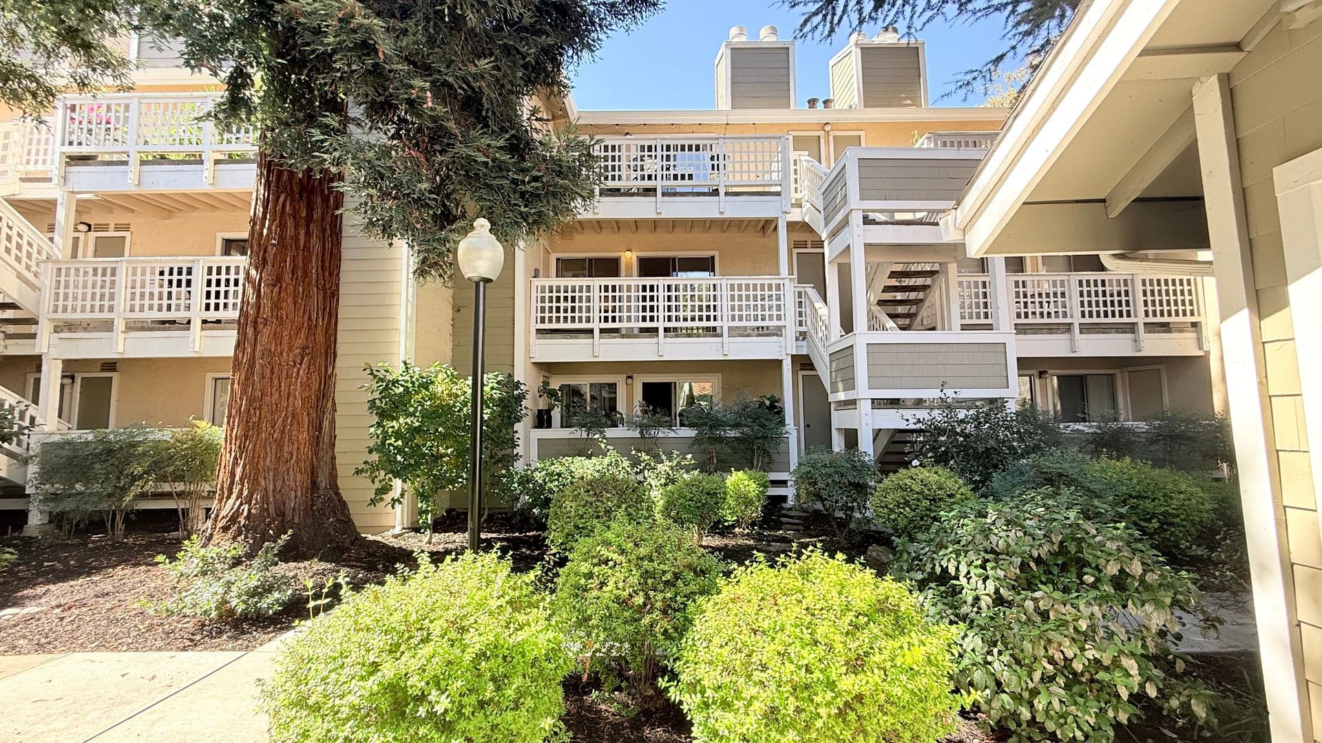 Walnut Creek House: 2597 Oak Road #B