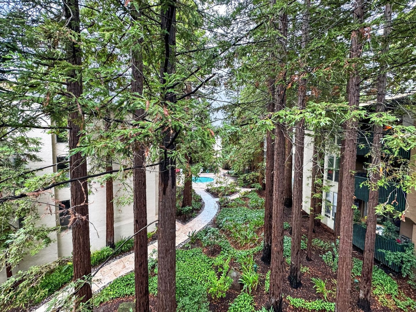 Walnut Creek Condo: 1236 Walker Avenue #305
