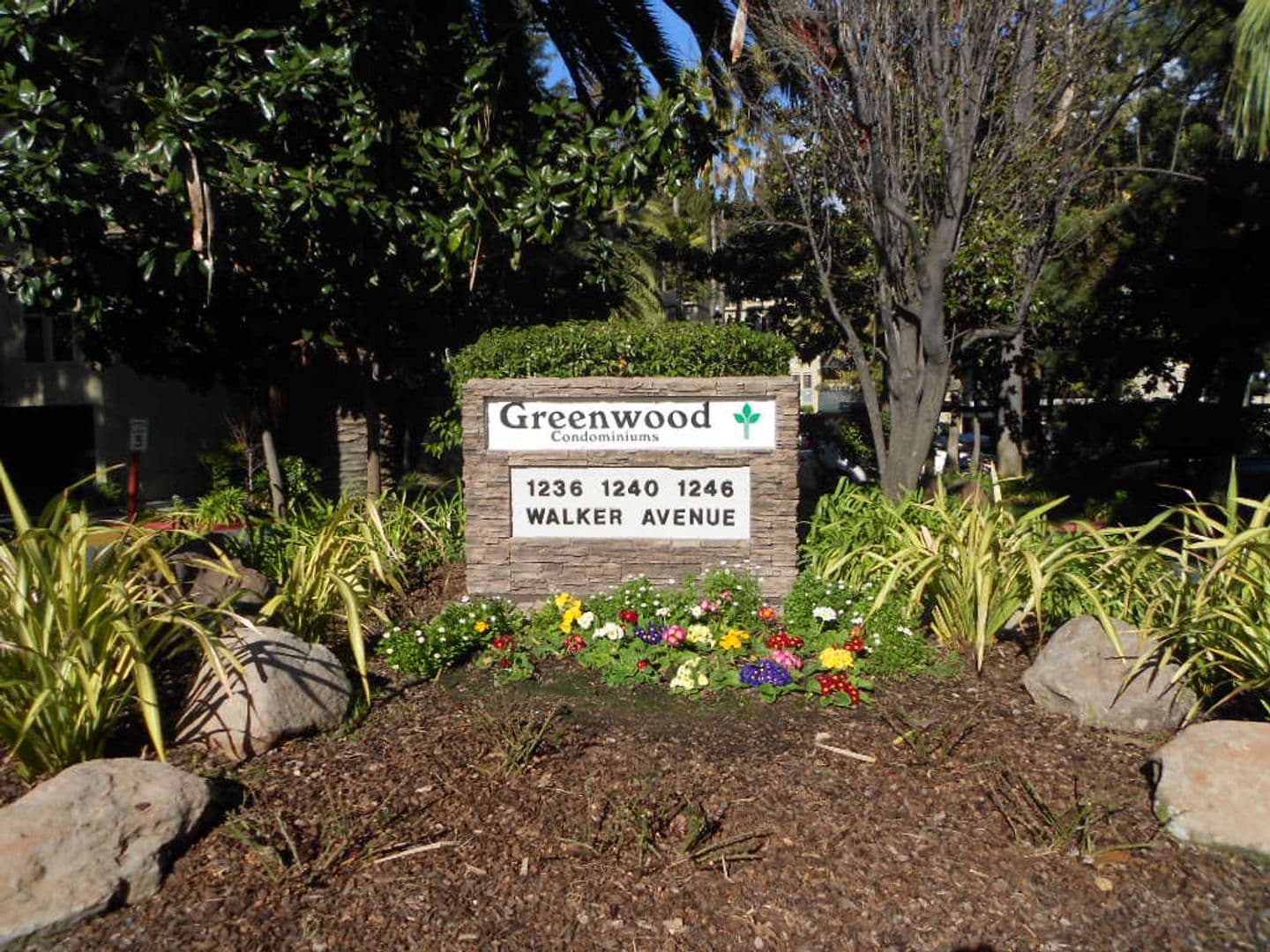 Walnut Creek Condo: 1236 Walker Avenue #305